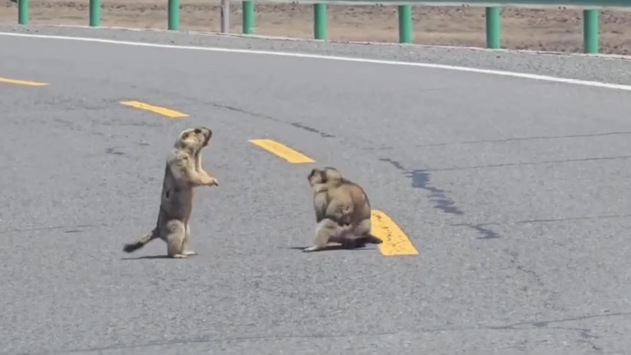 Trying to solve their issues as the world stands by