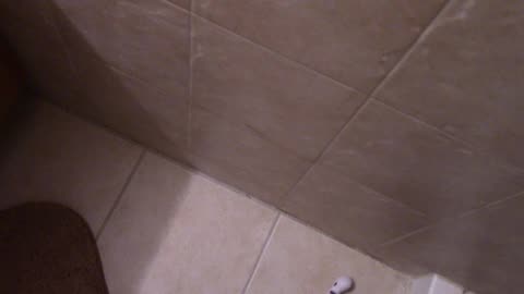 Dylan The Sponge Take 1