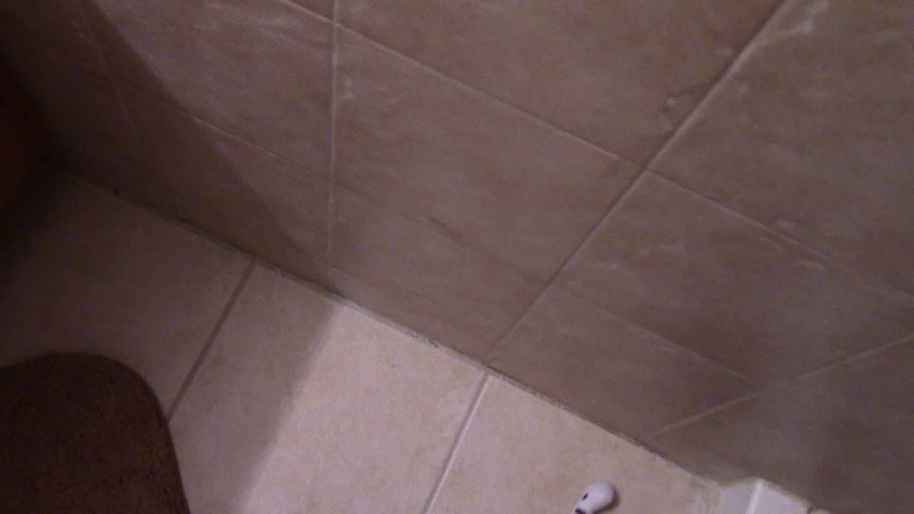 Dylan The Sponge Take 1