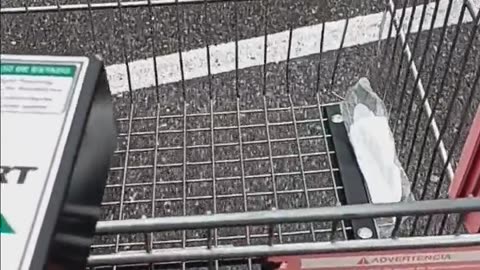 UNBELIEVABLY LAZY PEOPLE AT TARGET!