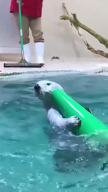 Cute little helper.. 😊