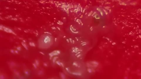 Lipstick under😳 microscope
