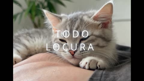 Dicen que el amor todo lo cura... y a veces es una bendita LÓCURA ❤️