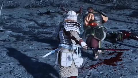 assassin ready to fight