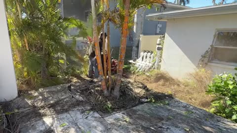 Every Neighbor was PISSED about the condition partVAE