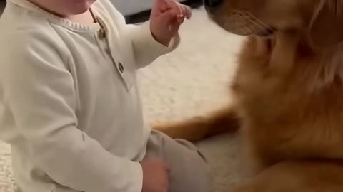 Cute Kid Playing with a Friendly Dog | Funny & Heartwarming Moments