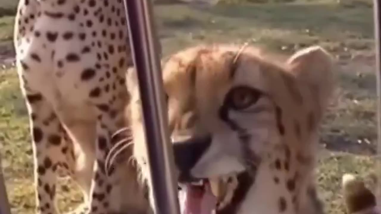 watch with sound 😀