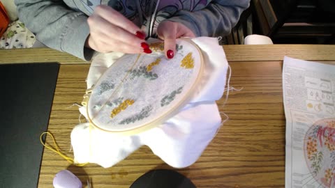 Embroidery Project 1- 1/8//26