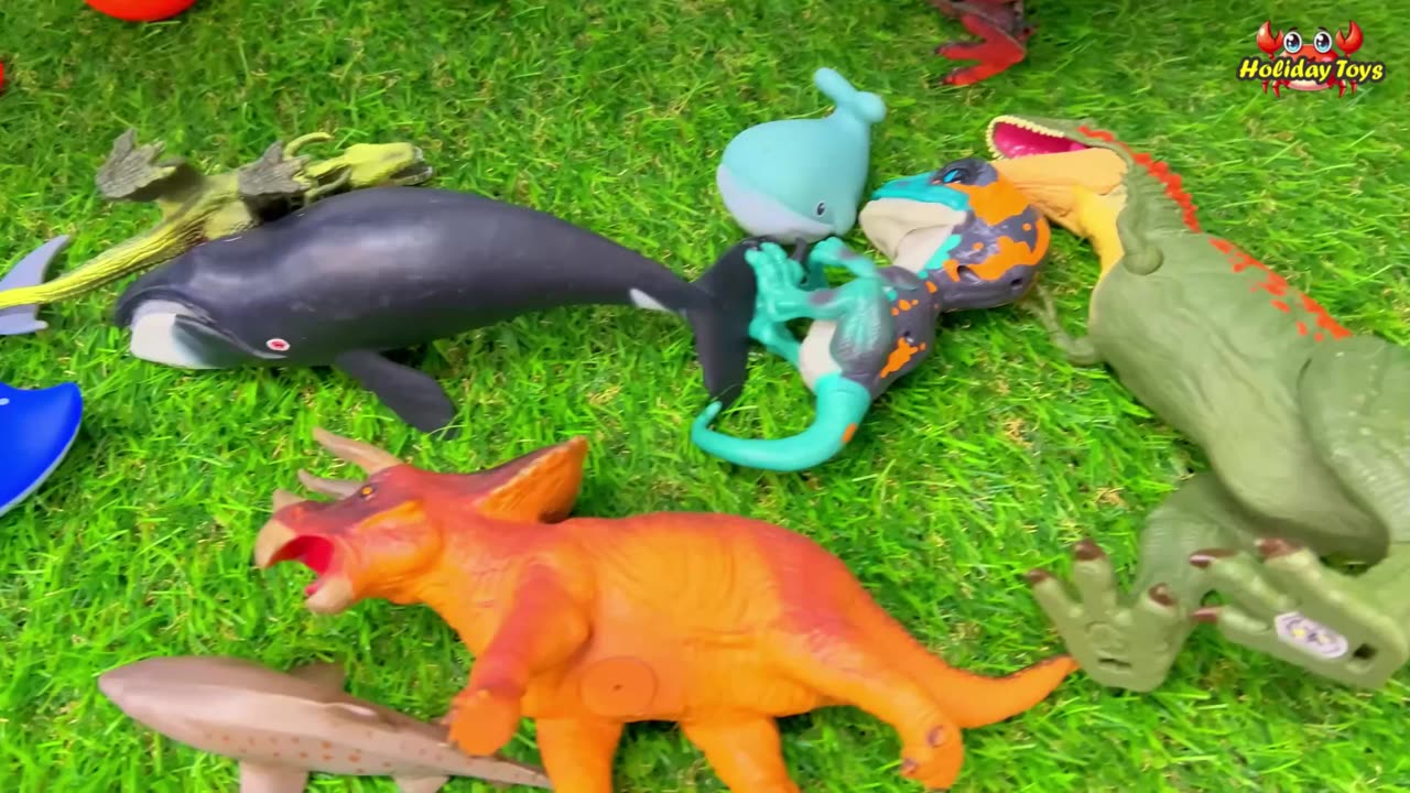 The Yellow Eel Enters the Marbles to Hide