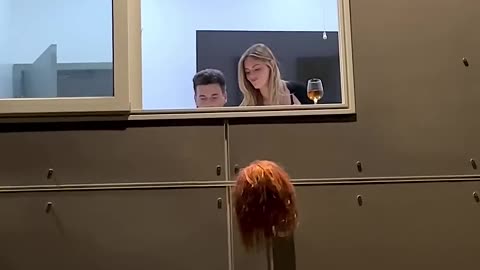 Creepy Wig Prank at the Window 😱 | Hilarious Reactions Caught on Camera
