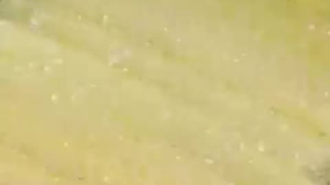 Crispy french fries potato stick