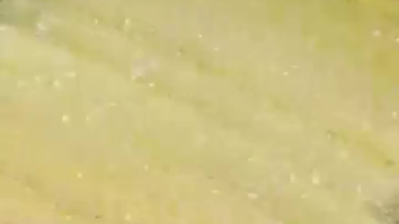 Crispy french fries potato stick