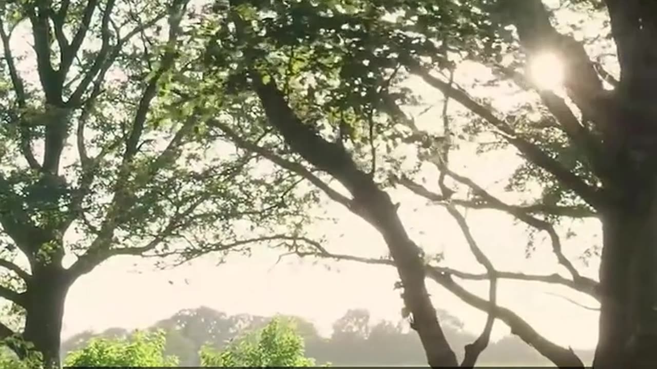 Daily Horoscope | Pisces 🌟