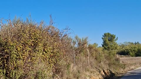 What is the purpose of the economy?