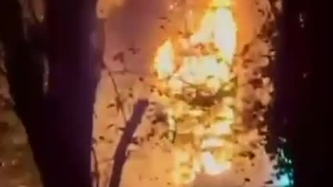 💥🏚️ Ukraine Russia War | Aftermath of Russian Attack in Zaporizhzhia | RCF