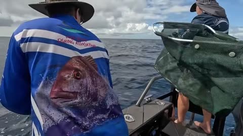 Angeln vor Caloundra Wide – Snapper & Pearlies wie aus dem Regen (4)