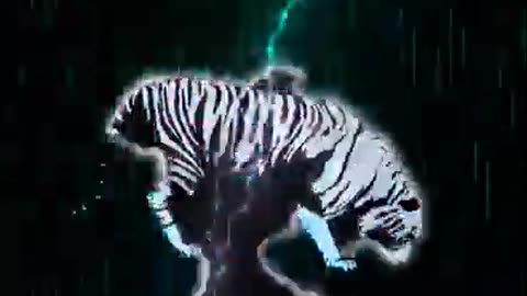 Tiger 3D animation no copyright Free Footage