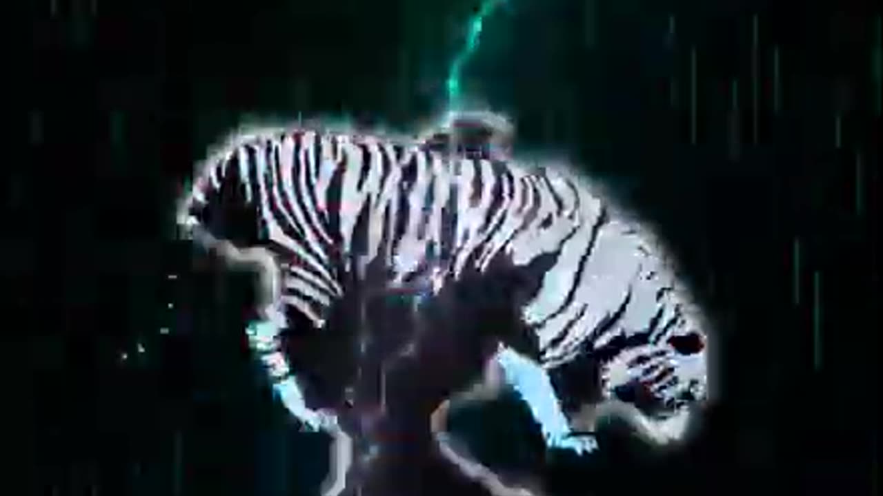 Tiger 3D animation no copyright Free Footage