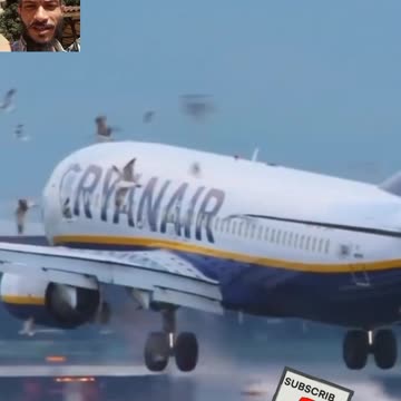 Worst Bird Strike #Landing Ryanair #Aviation #AeroArduino