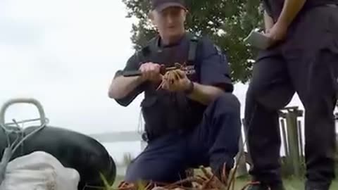 Greedy poacher gets what’s coming to him!