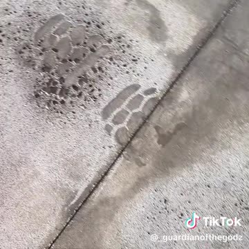 See is fluoride can do