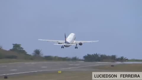 Airbus A320 LATAM catches a bird at the moment of takeoff at Salvador