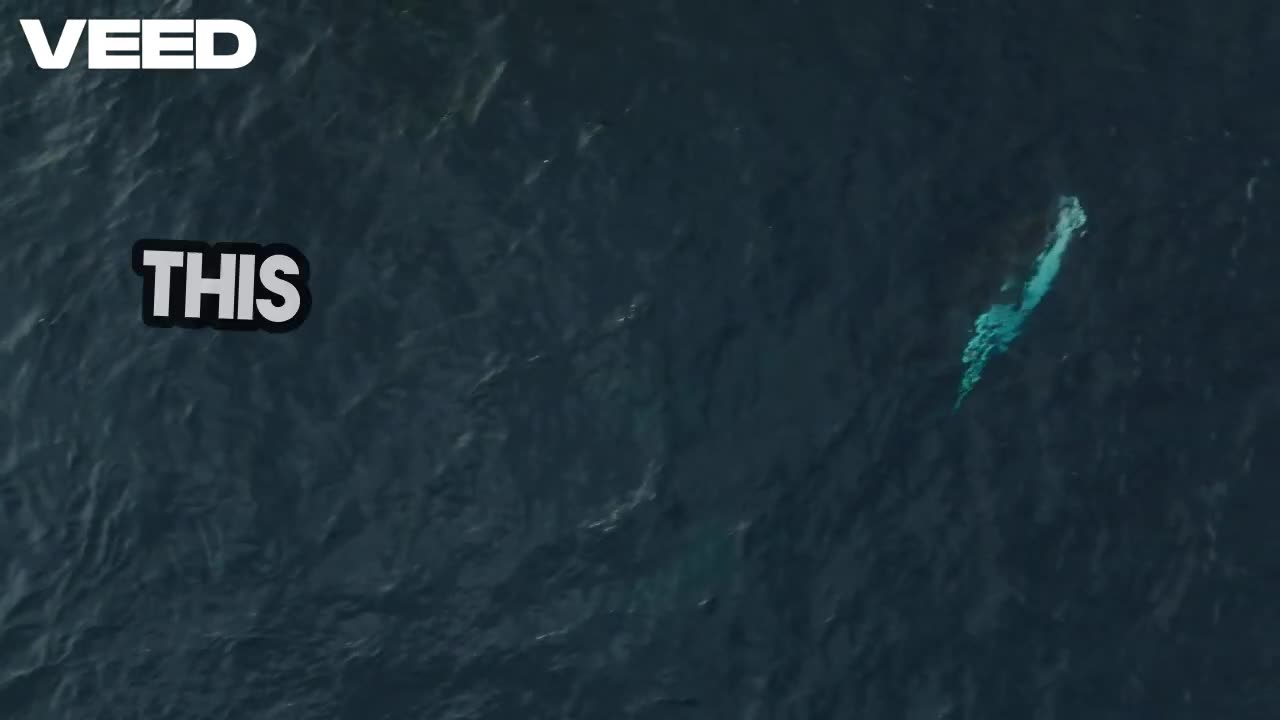 What If Ariel Was A Siren?