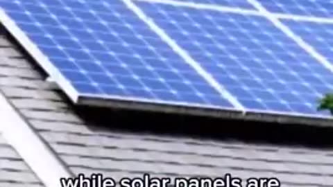 Solar panels can pose significant health risks.