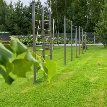 Spend your holidays actively