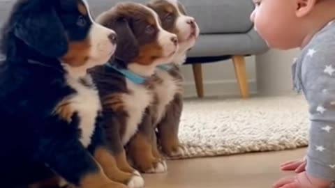 Baby’s Cutest Playtime with Cat 🐱👶 | Adorable Moments"