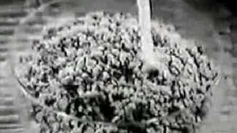 Commercial - Post Cereal 1963 w Andy Griffith show opening theme