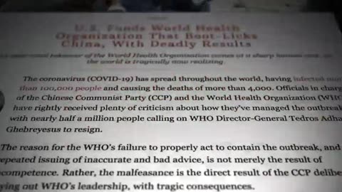 Who is WHO? | Plandemic Series Exposes World Health Organization