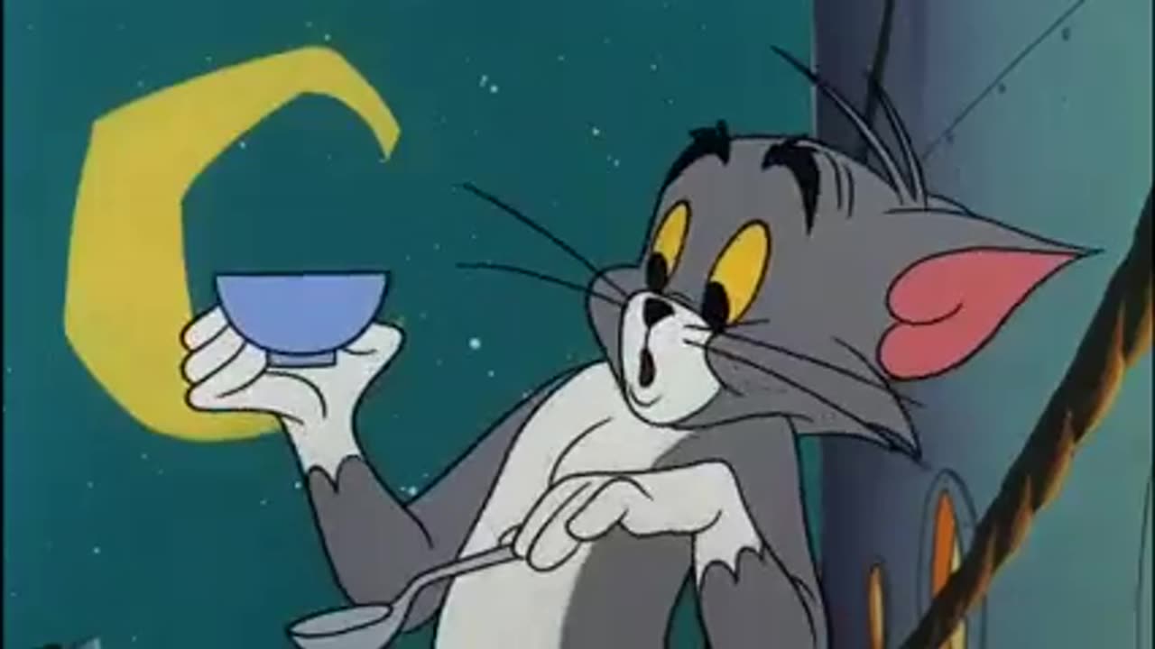 Tom and jarry funny vidieo