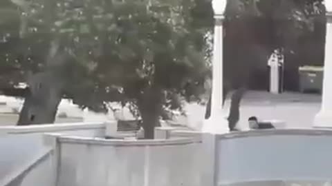 AUSTRALIAN HERO TOOK GUN OFF SHOOTER