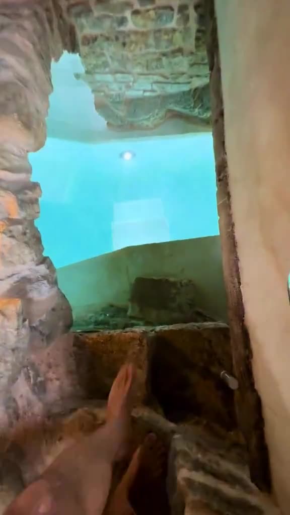 Imagine having an ancient Roman bath underneath your living room