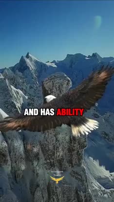 Eagle Attitude Motivation #short shorts� #trending
