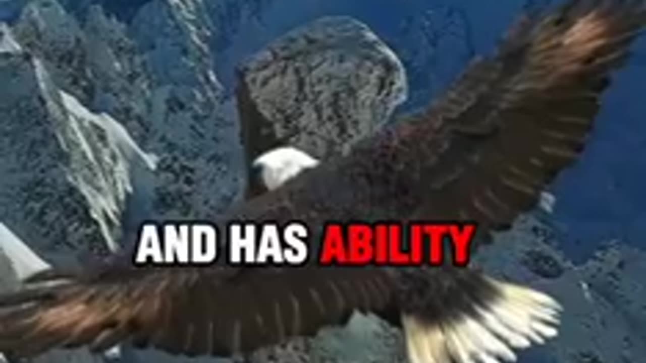 Eagle Attitude Motivation #short shorts� #trending