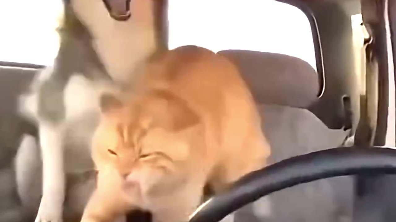 How was the driving?