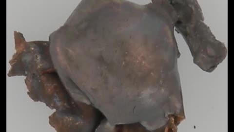 30-06 Springfield Remington 55gr Accelerator JSP ballistic gelatin slow motion