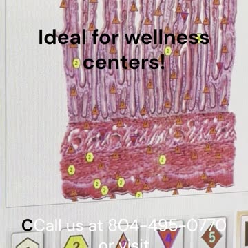 Body Bioscans Showing The Health of Every Part of the Body!