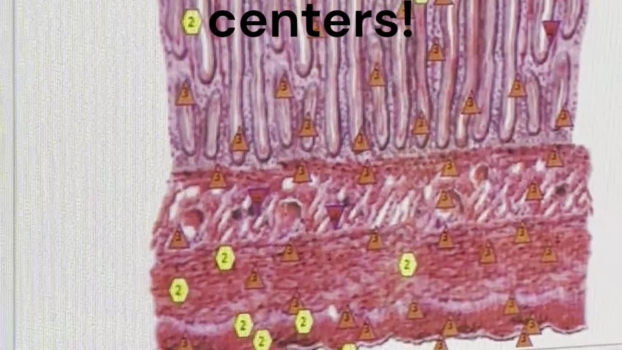 Body Bioscans Showing The Health of Every Part of the Body!