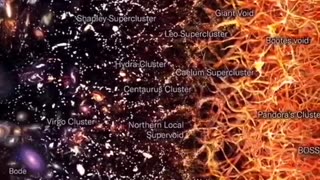 😱🛸 The Truth About Extinction and Survival! | TheTruthAbove