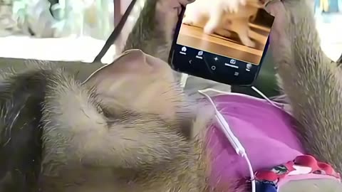 enjoy with your babies