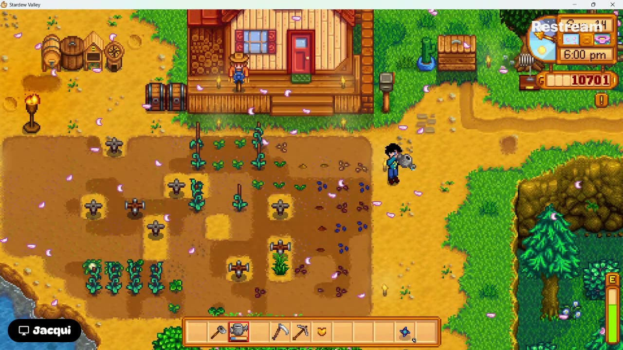 Stardew Valley chills