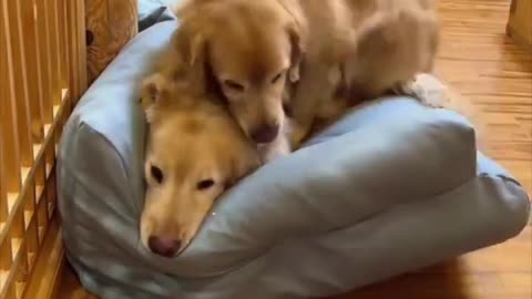 Nap time.. 😊