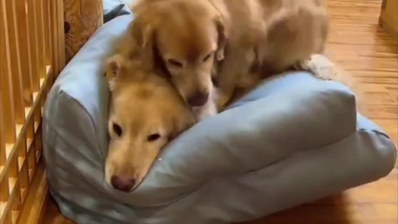 Nap time.. 😊