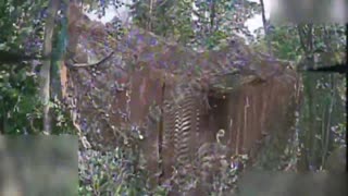 🚁🔥 Ukraine Russia War | Russian FPV Drones VT-40 Destroy Ukrainian T-64BV Tank Near Pershomar… | RCF