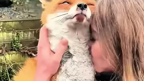 The girl rescued a fox stuck in football net 😘