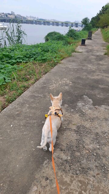 20250909. God Is Love.