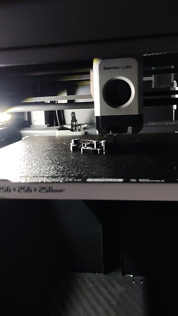 First Print on the P1S